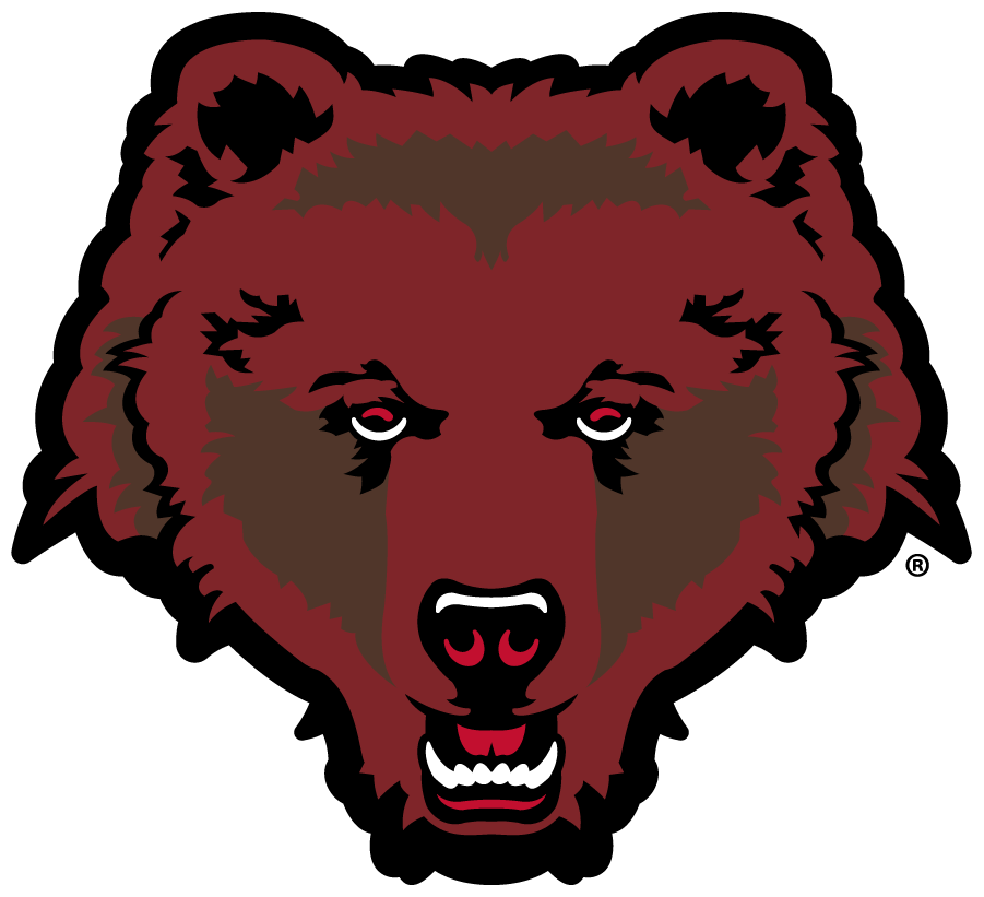 Brown Bears 2018-Pres Alternate Logo DIY iron on transfer (heat transfer)